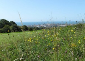 Hollingbury golf course