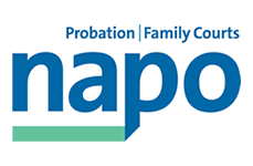 napo_logo2